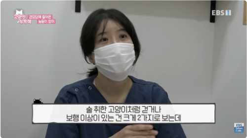EBS 고양이를 부탁해 출연