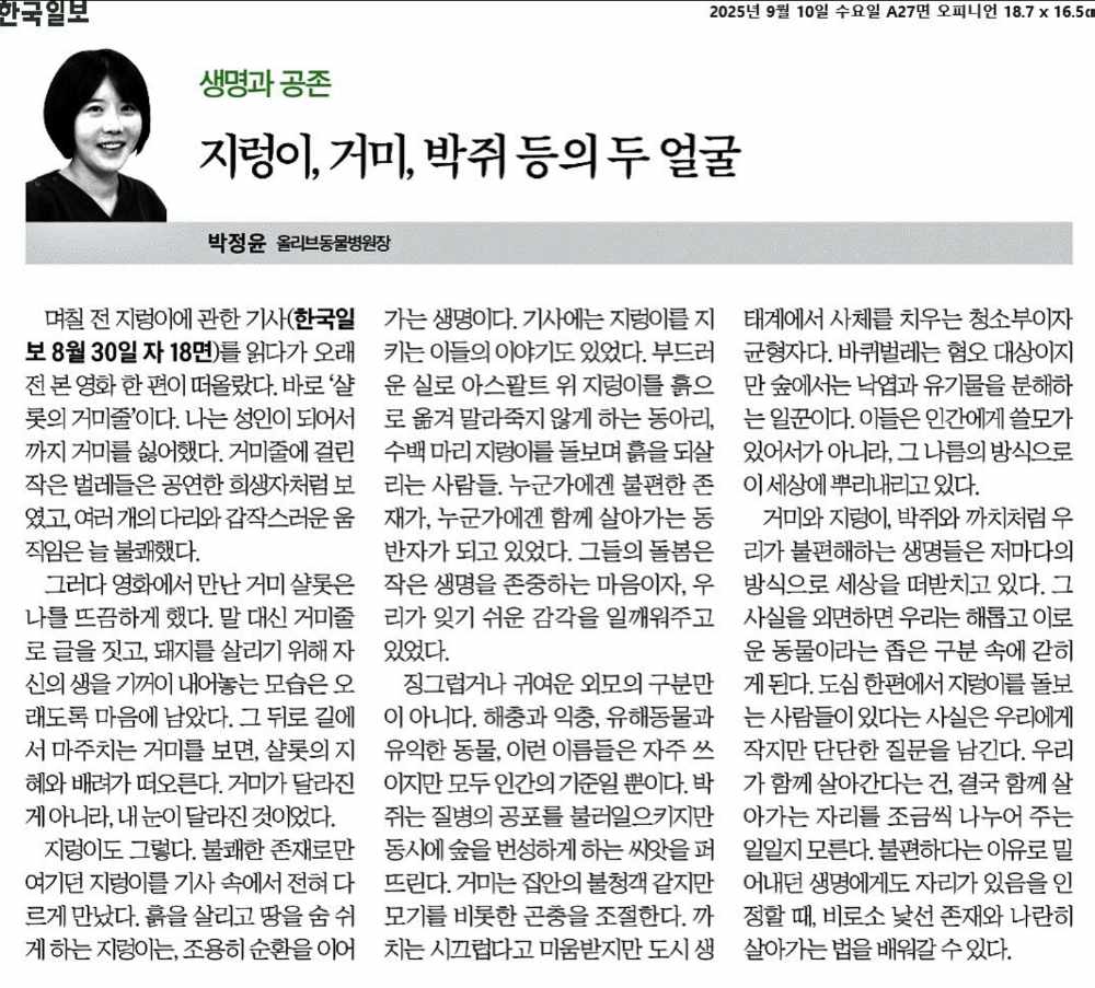 칼럼 5 썸네일
